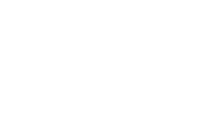 Visual Fourier Prompt Tuning